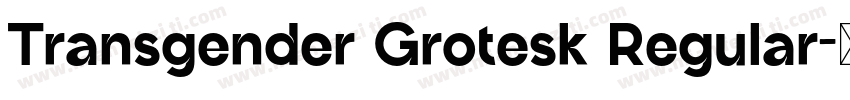 Transgender Grotesk Regular字体转换